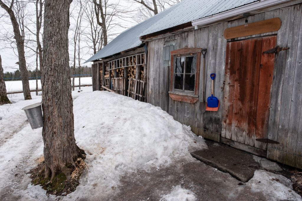The Great Syrup Revolt of 1899